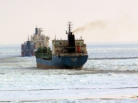 Университет получил признание Минтранса России по подготовке моряков для работы на судах в полярных водах